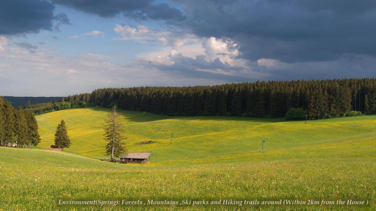 Willa Entire House In Schwarzwald With Mountain View, Private Gym,Sauna And Garden Unterkirnach Zewnętrze zdjęcie